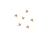 Jackfruit - cheatah-pizza